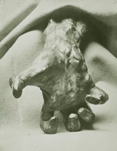 Auguste Rodin - Main crispée (par Eugène Druet, vers 1898)