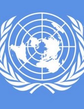 Drapeau officiel de l'Organisation des Nations Unies