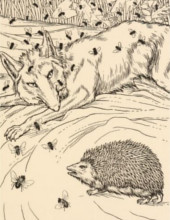 Le Renard, les mouches et le hérisson, illustration de Percy J. Billinghurst (1900)