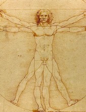 Léonard de Vinci - L'Homme de Vitruve