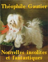 Theophile Gautier - Nouvelles insolites et fantastiques