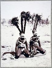 Tribu australienne
