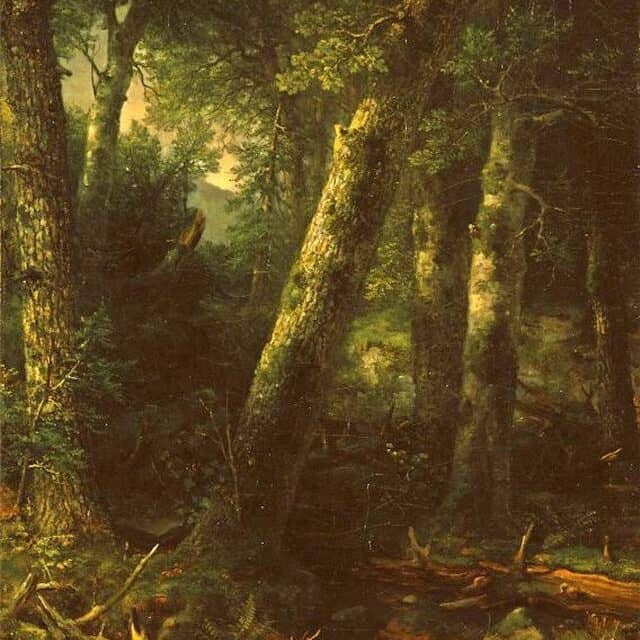 Asher Brown Durand, Forest in the morning light (ca. 1855)