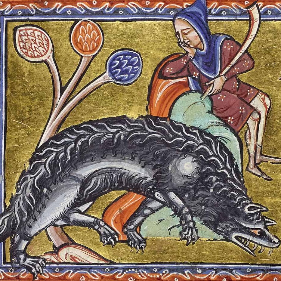 Bestiaire d'Aberdeen - Le loup se faufile dans la bergerie (XIIe siècle)