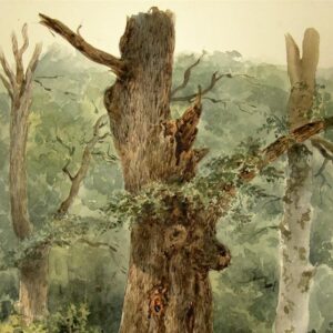 Eduard Leonhardi - Paysage forestier avec un arbre mourant