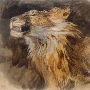 Eugène Delacroix - Tête de lion rugissant