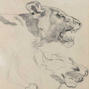 Eugene Delacroix - Têtes de lionnes (1863)