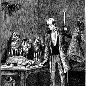 Frid’Rick, Le Docteur Carlate dans son cabinet de vivisection (1881)