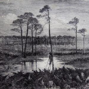 Gustave Doré, Paysage des Landes