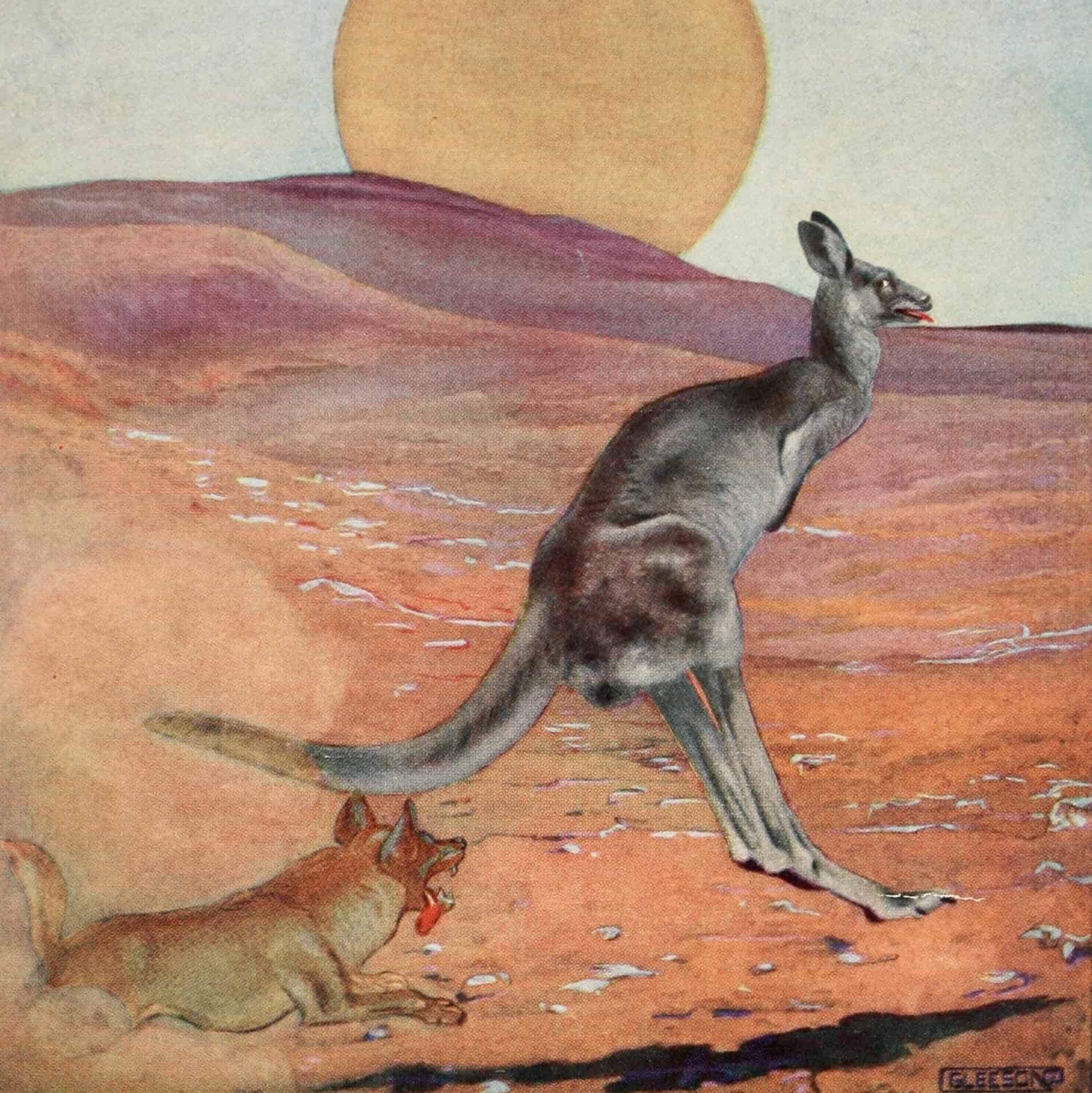 Illustration de La Complainte du petit père Kangourou (The Sing-Song of Old Man Kangaroo), éd. Doubleday des Histoires comme ça (1912)