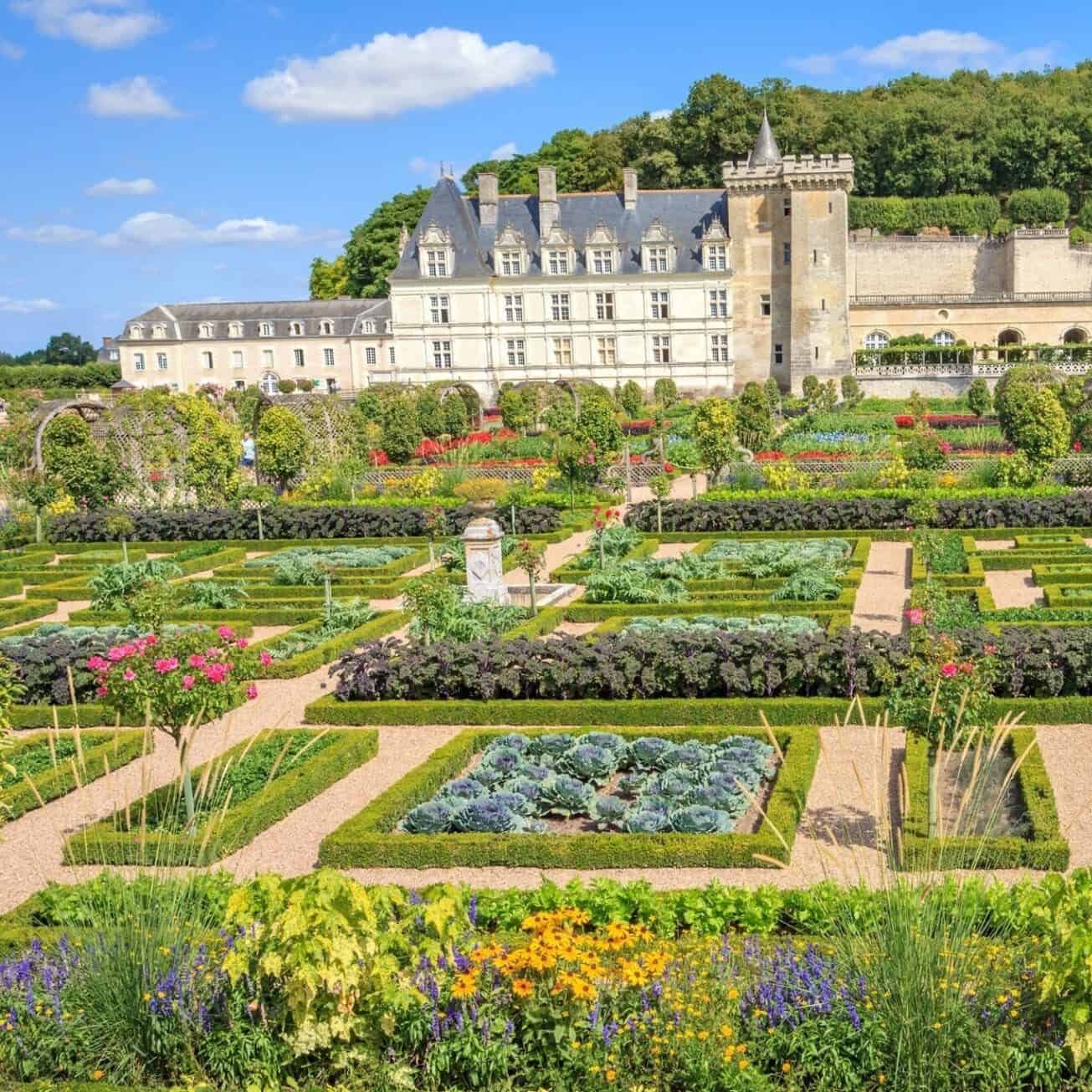 Jardin du Château de Villandry