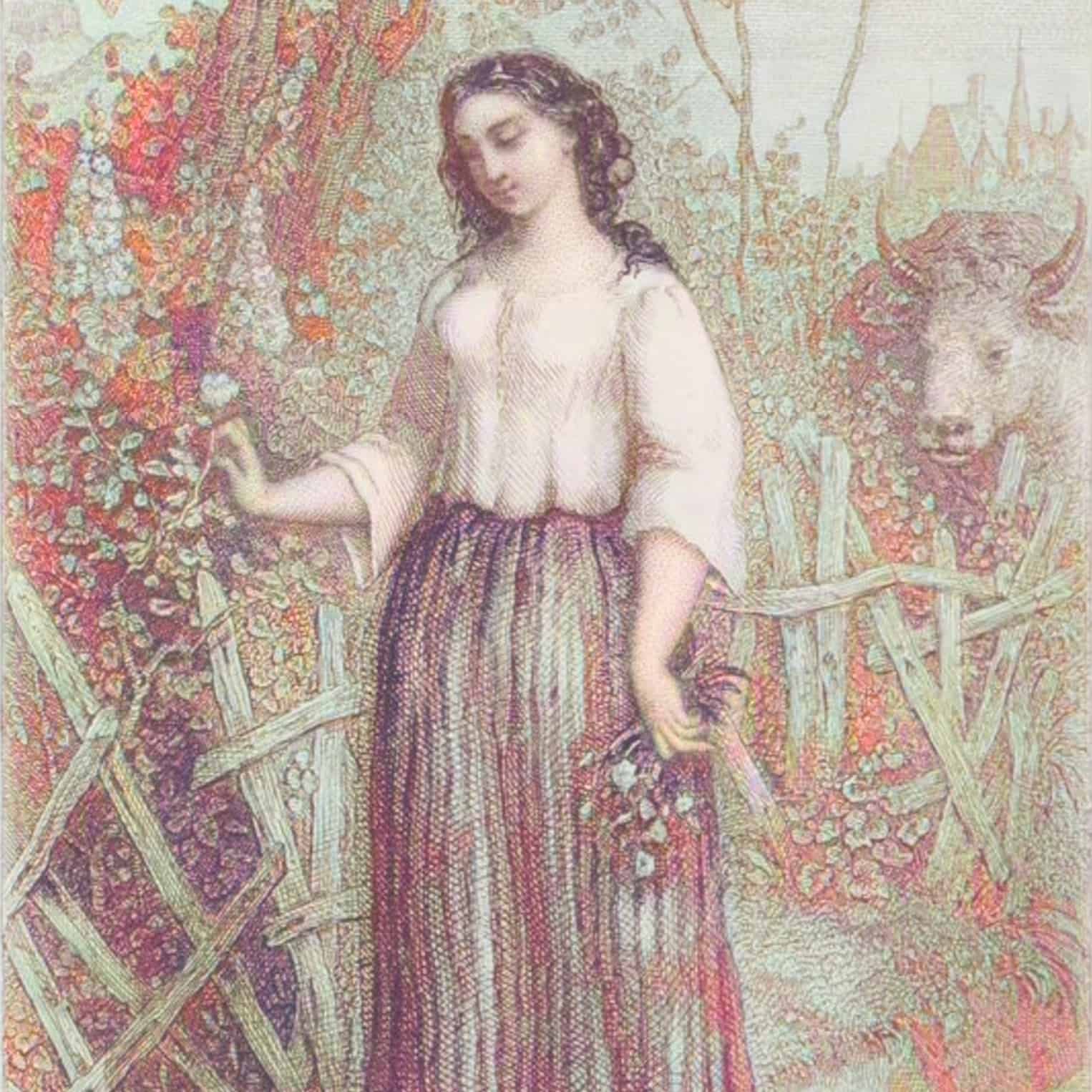 La Pantoufle de Cendrillon ou Suzanne aux coquelicots (ed. Parpalet, 1867)