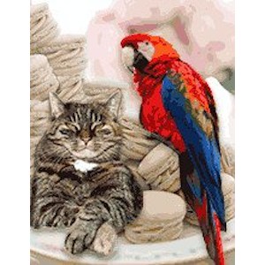 Le Chat et le Perroquet