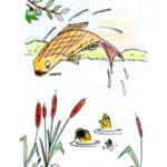 Le Petit Poisson vagabond - illustration d'Isabelle