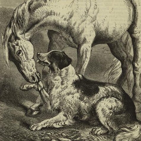 Le cheval et le chien ; ou, un ami dans le besoin (1880)
