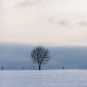 Mathias Reding - Paysage et neige