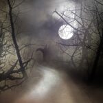 Misty moonlit night