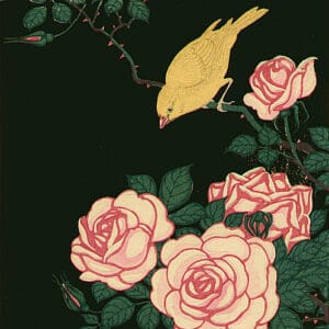 Ohara Koson - Canari et roses