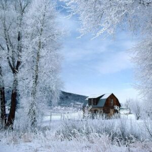 Paysage d'hiver