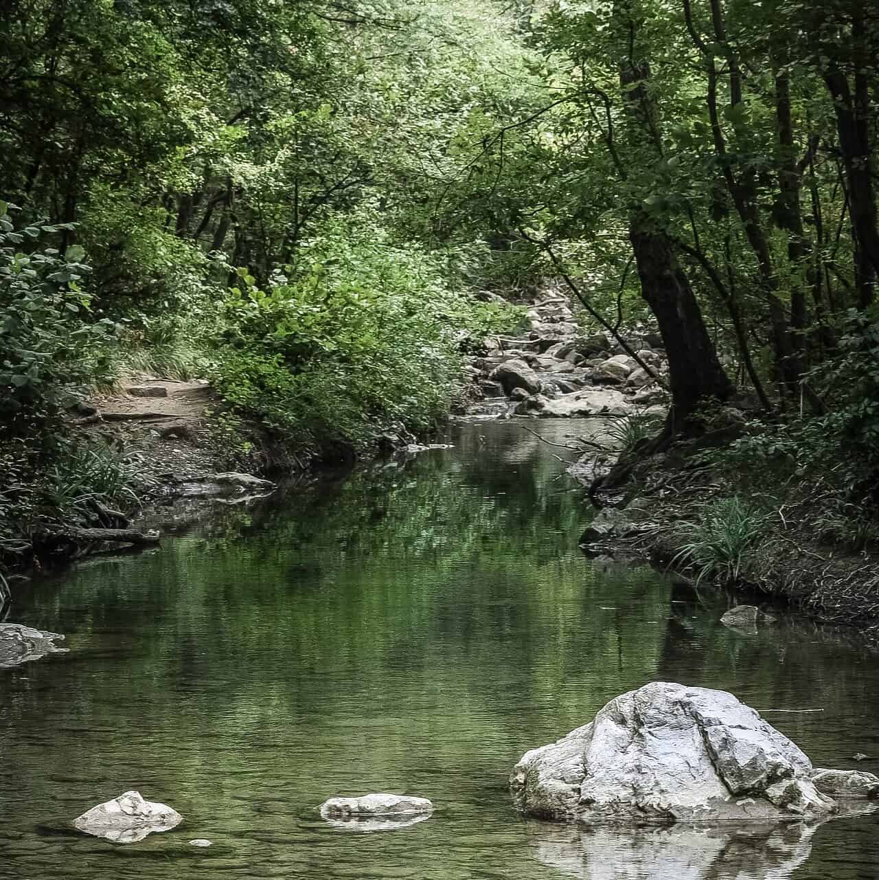 Photographie d'une rivière