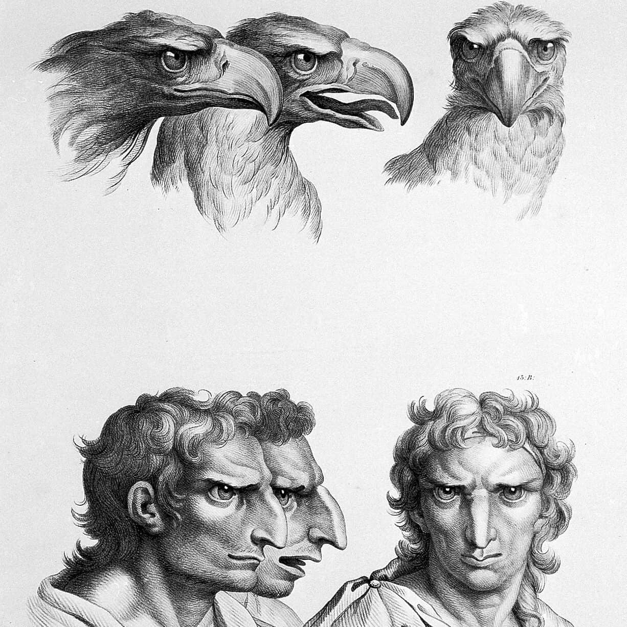 Relation entre le visage humain et l'aigle