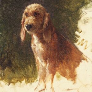 Rosa Bonheur - Étude de chien (vers les années 1860)