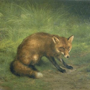 Rosa Bonheur - Étude de renard (fin XIXe siècle)