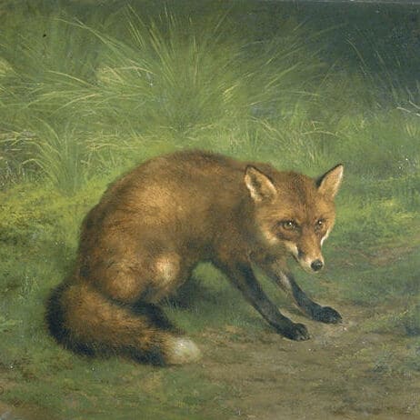 Rosa Bonheur - Étude de renard (fin XIXe siècle)