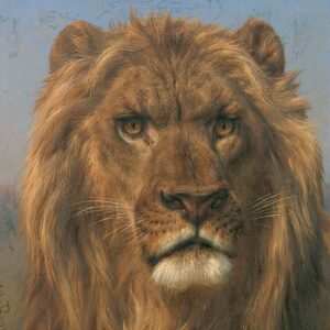 Rosa Bonheur - portrait de lion