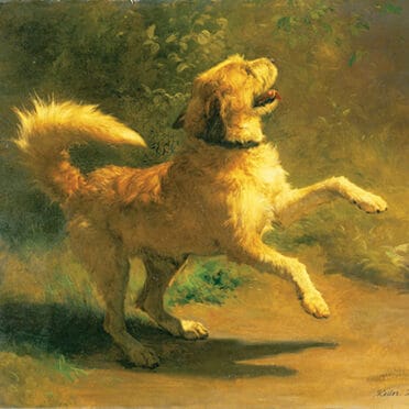 Rudolf Koller, chien qui saute