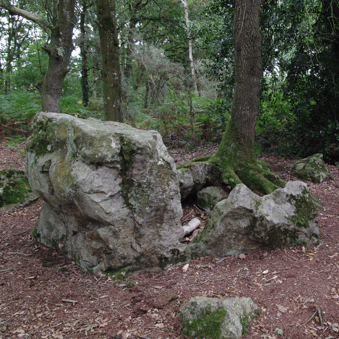 Site mégalithique de la Lande du Gras
