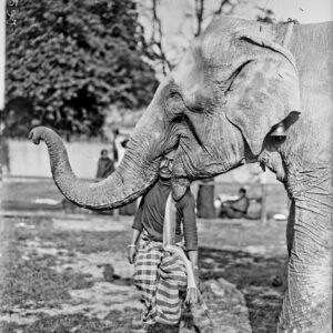 Un éléphant et son cornac au Jardin d’acclimatation en 1926