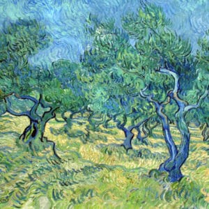Vincent van Gogh - Champ d'oliviers (juin 1889)