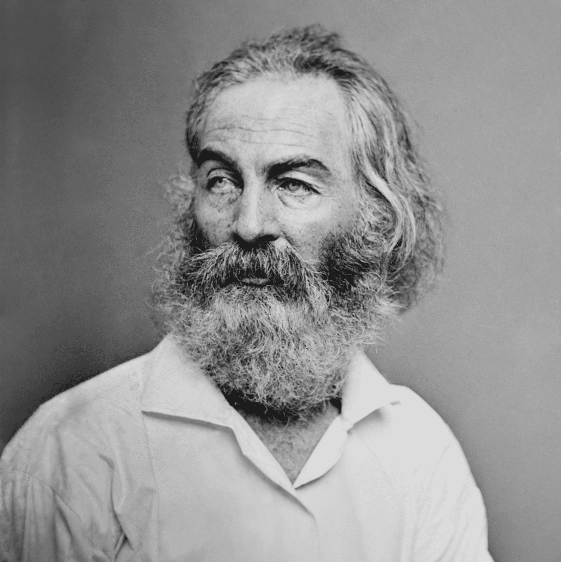 Walt Whitman - photo par Mathew Brady (1862)