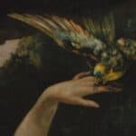 Gustave Courbet, Femme au perroquet (détail)