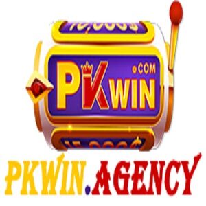 Pkwin Agency